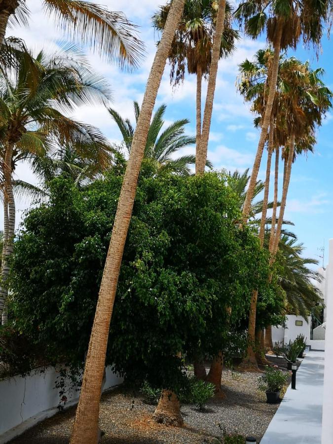 Apartament Estrella De Mar Tarajalejo Zewnętrze zdjęcie
